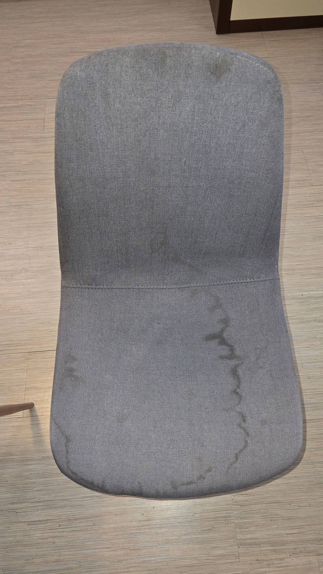 Before photo for Upholstery & Carpet Cleaning