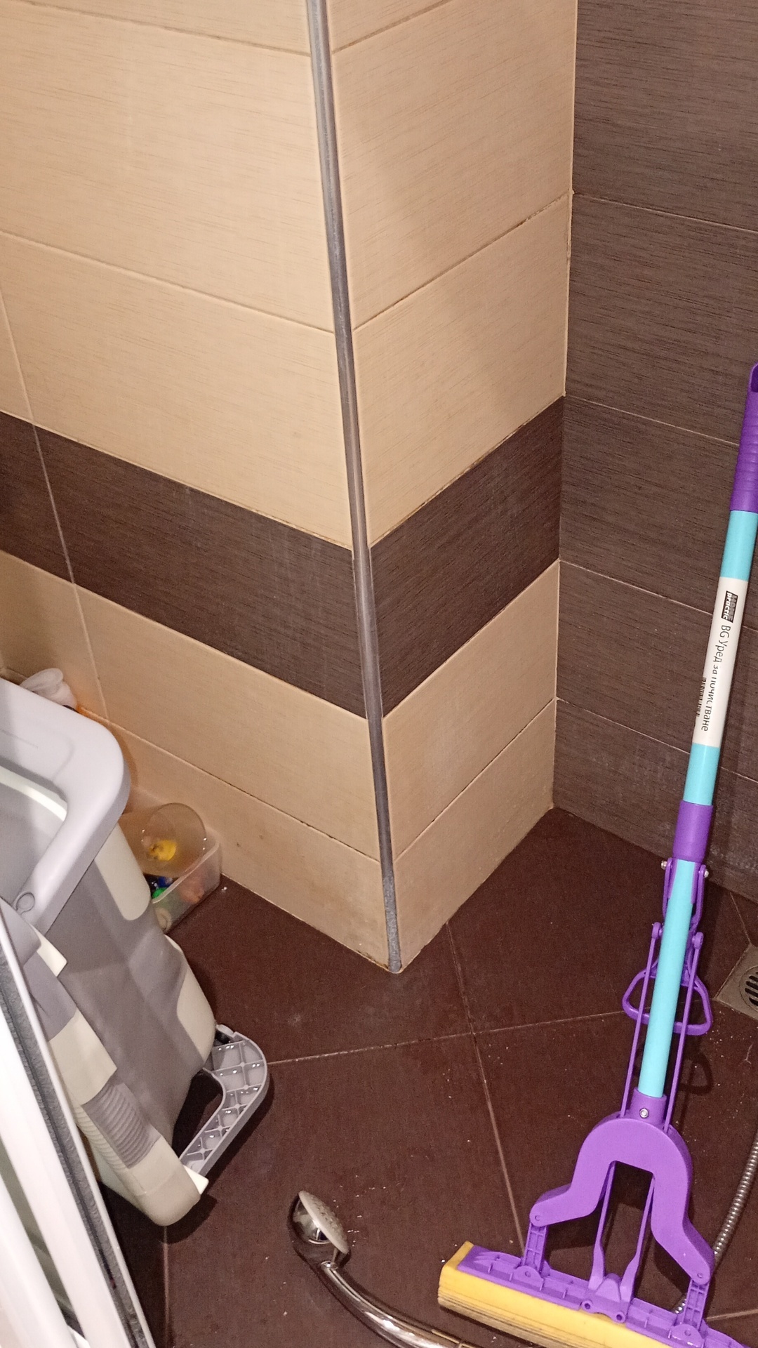 Before photo for Limpieza de baños