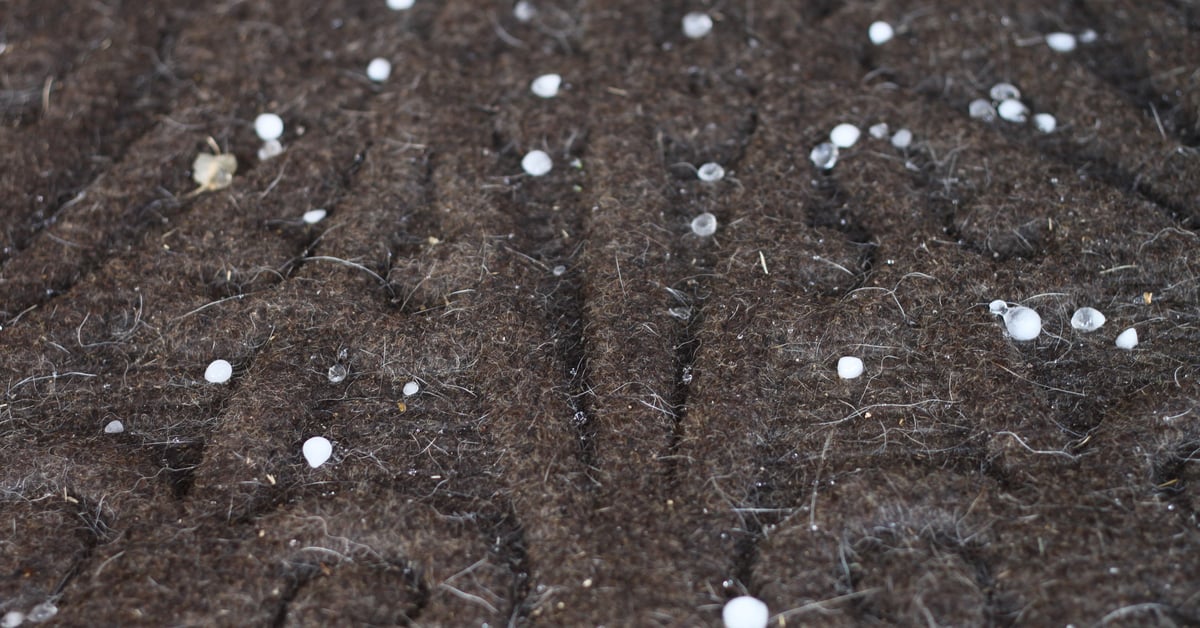 Entradas, pasillos y zonas de almacenaje