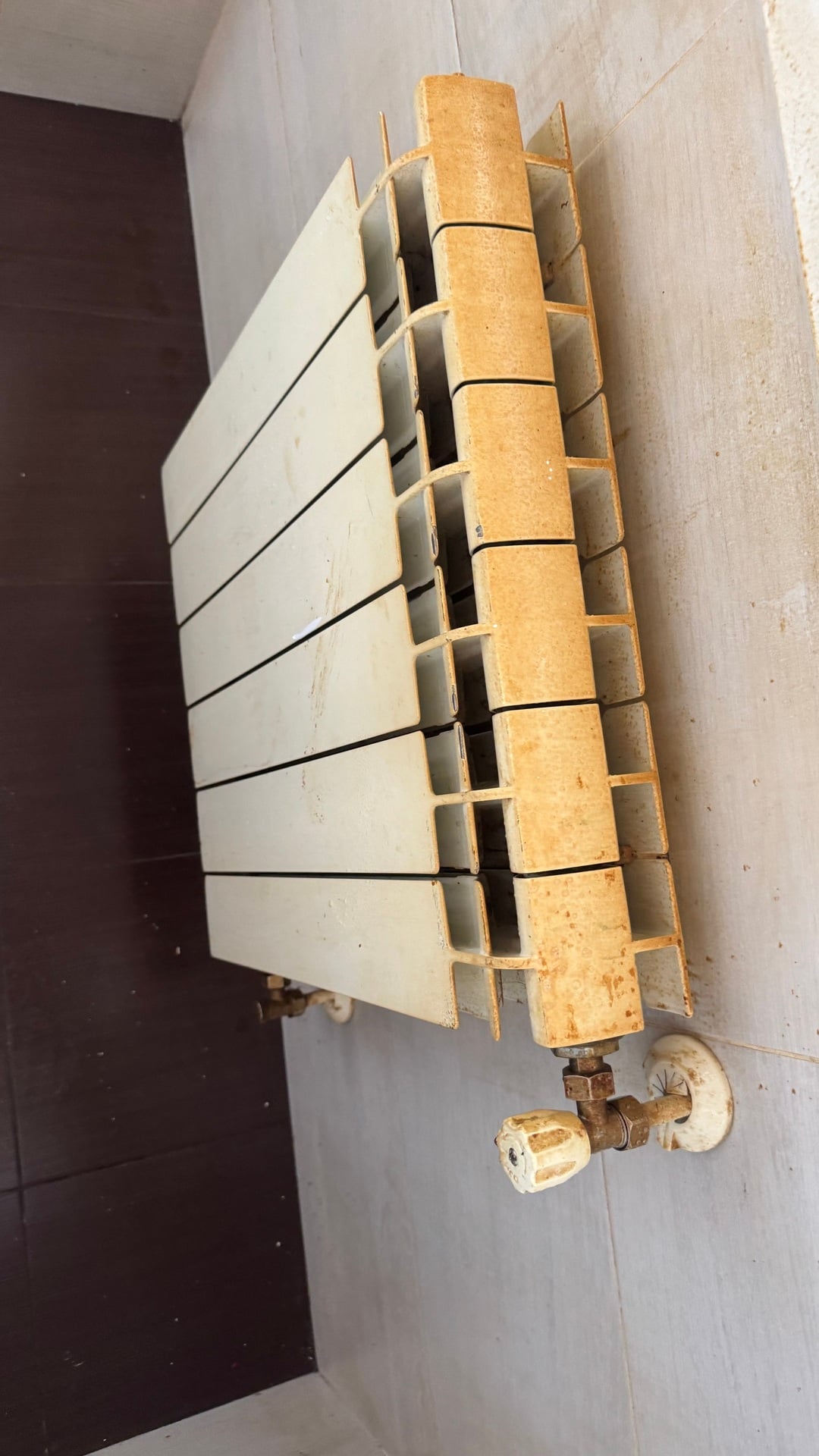 Before photo for Limpieza profunda