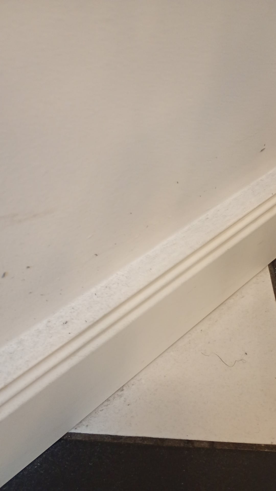 Before photo for Deep Cleaning