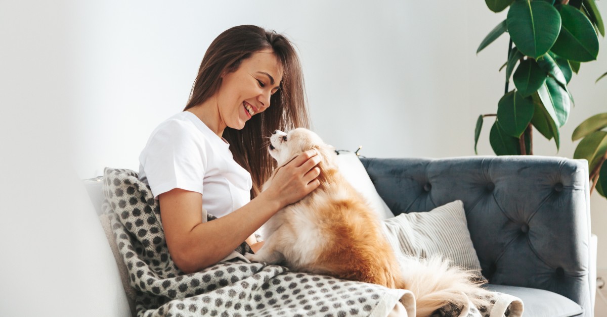 convivencia saludable con mascotas