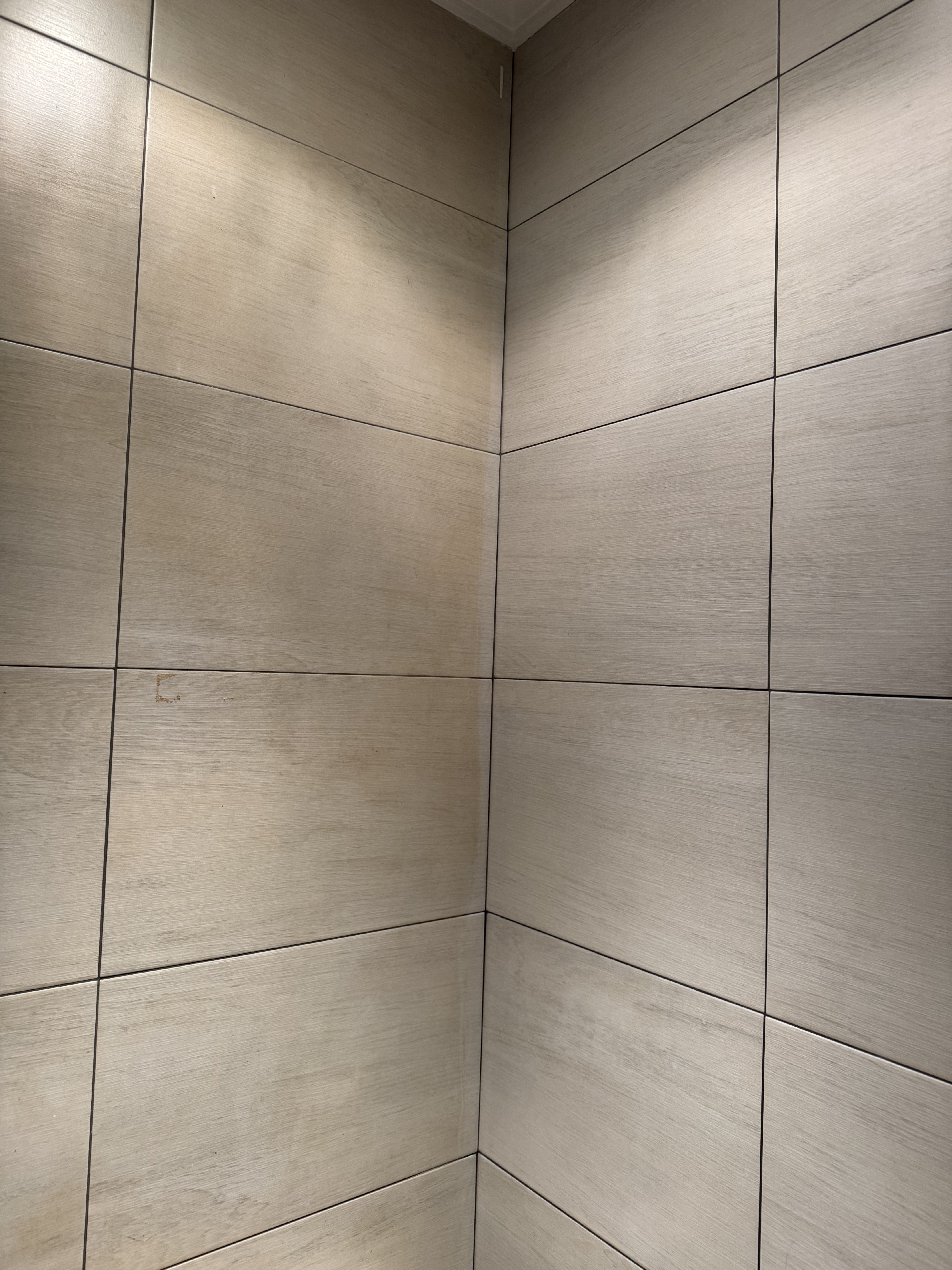 Before photo for Limpieza profunda