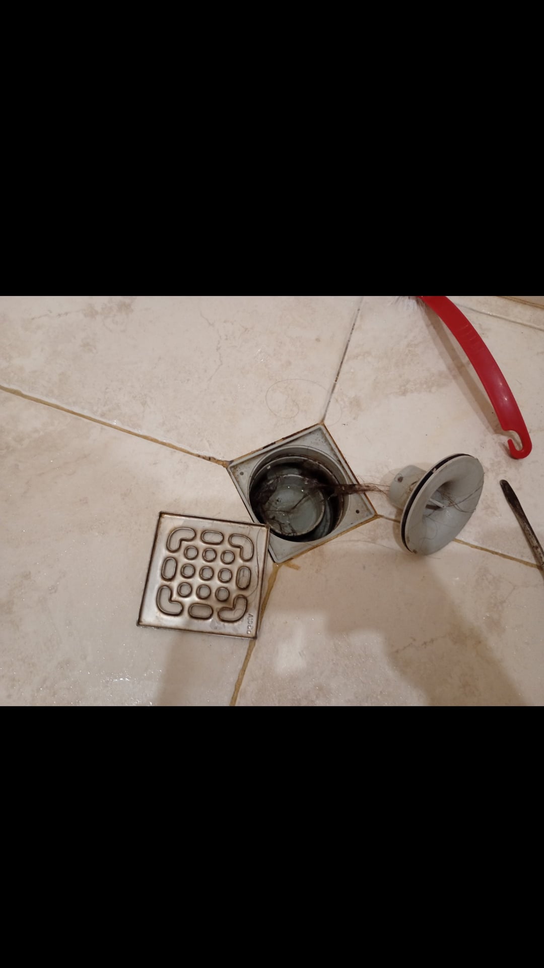 Before photo for Limpieza profunda