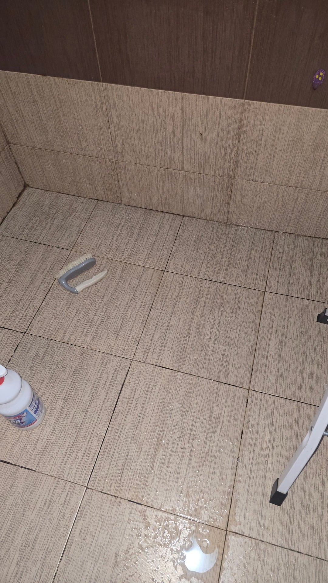 Before photo for Limpieza general