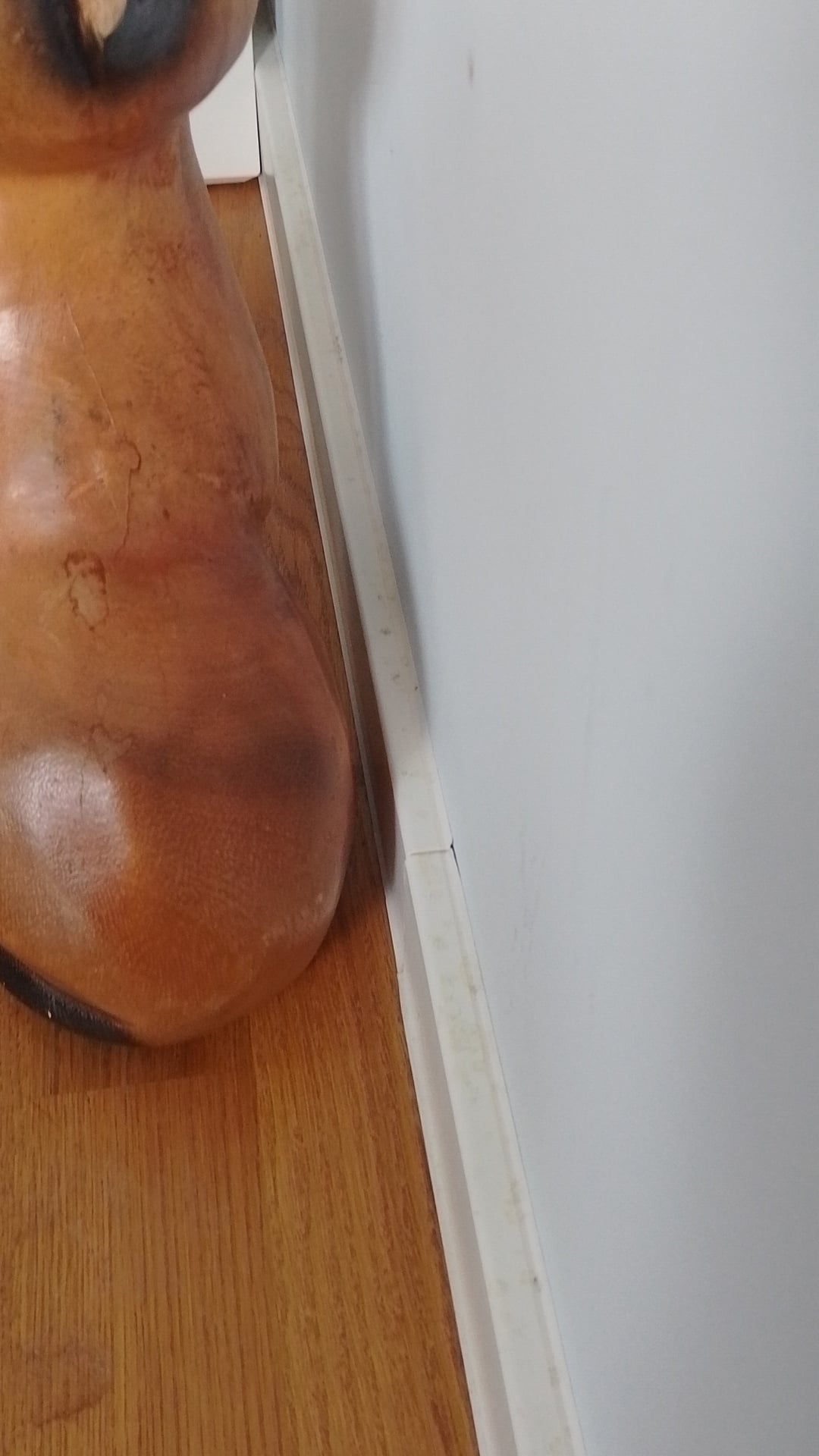 Before photo for Limpieza profunda