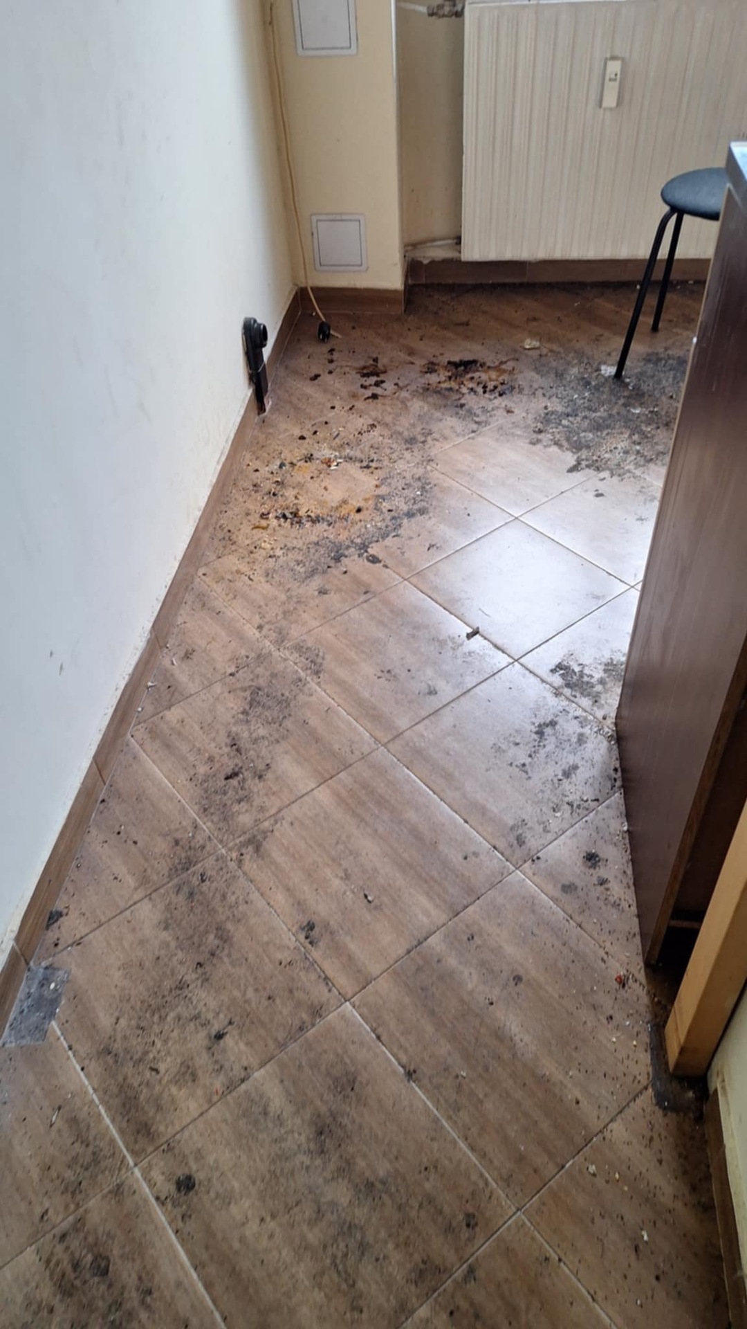 Before photo for Limpieza profunda