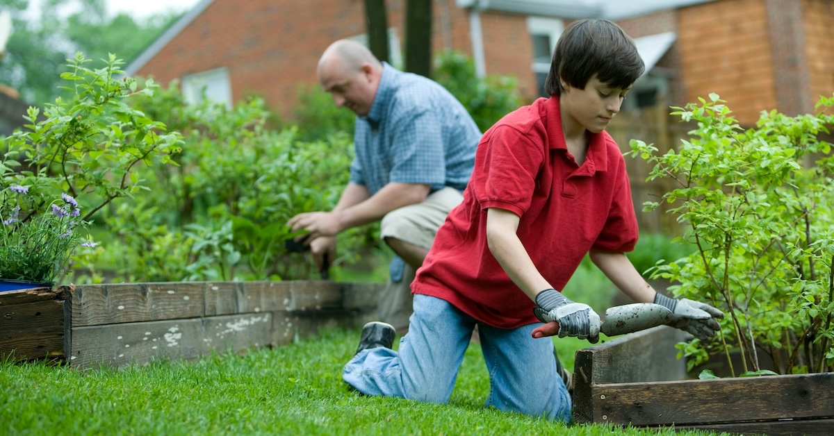 Cultive su pulgar verde: una guía para principiantes para un jardín próspero
