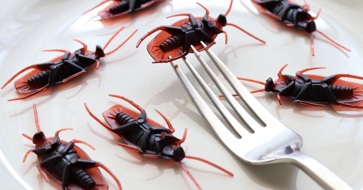 Cómo deshacerse de los insectos en casa