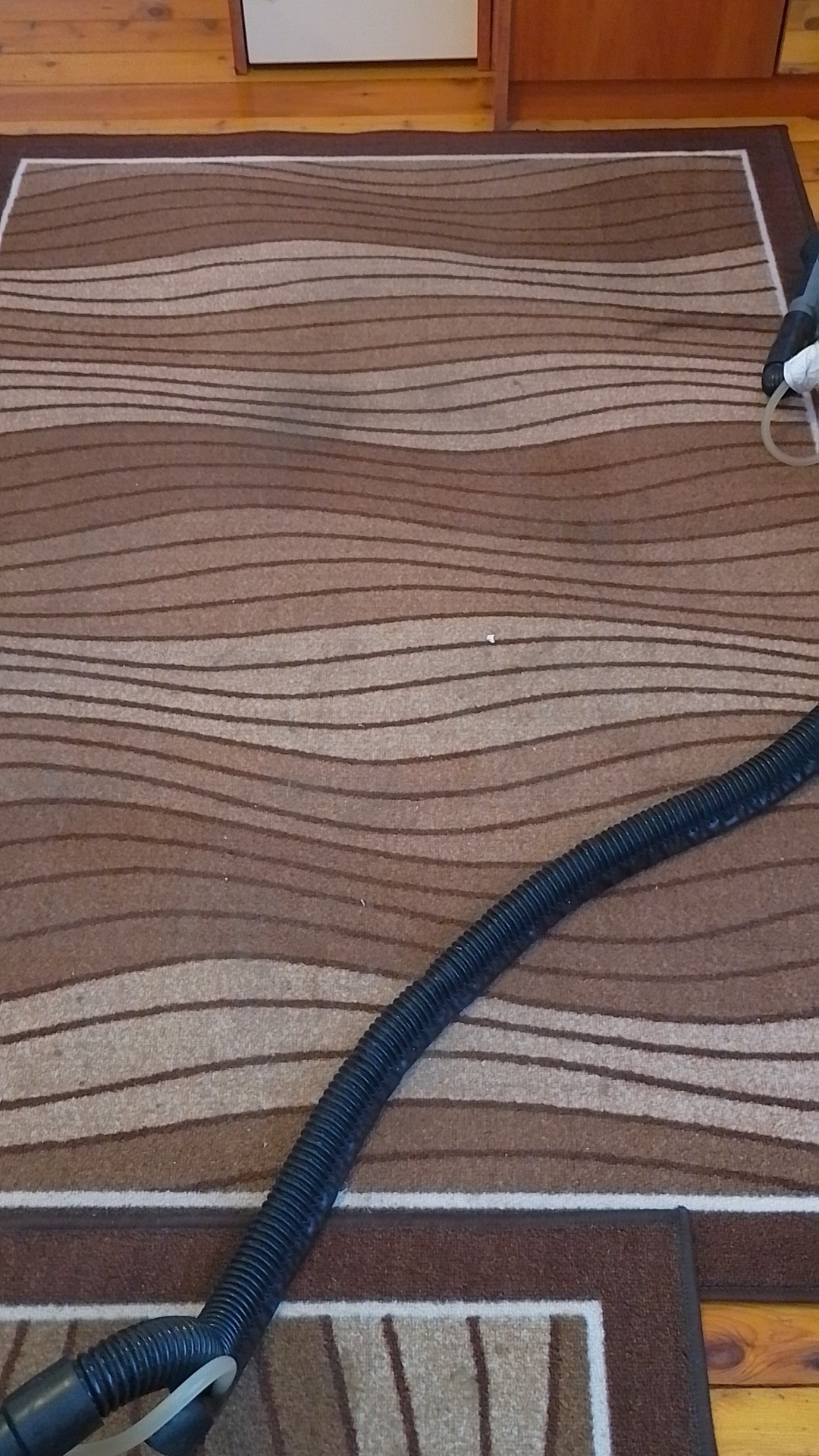 Before photo for Upholstery & Carpet Cleaning