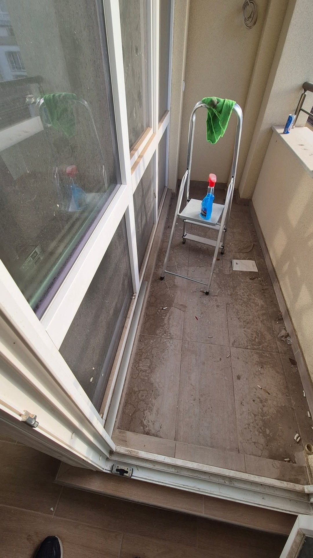 Before photo for Limpieza después de obra