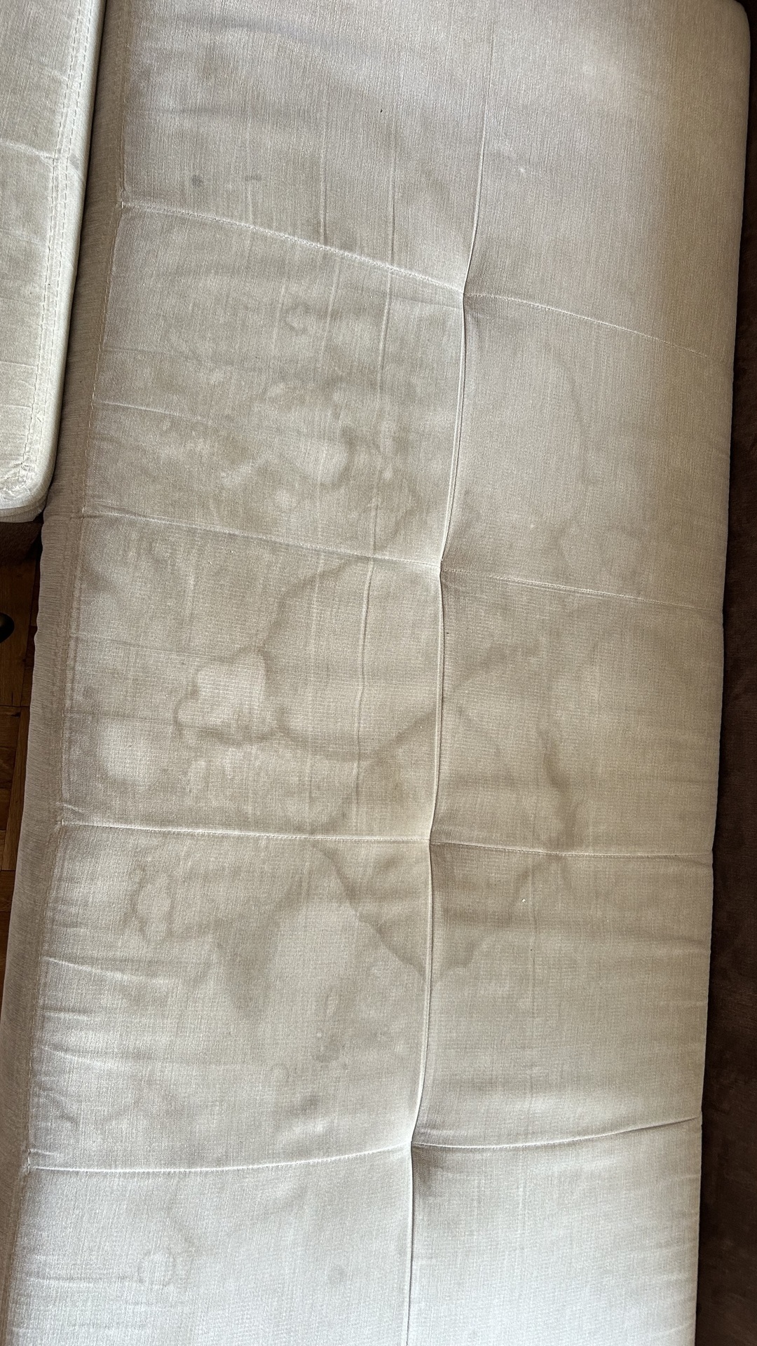 Before photo for  Limpieza de tapicería y alfombras