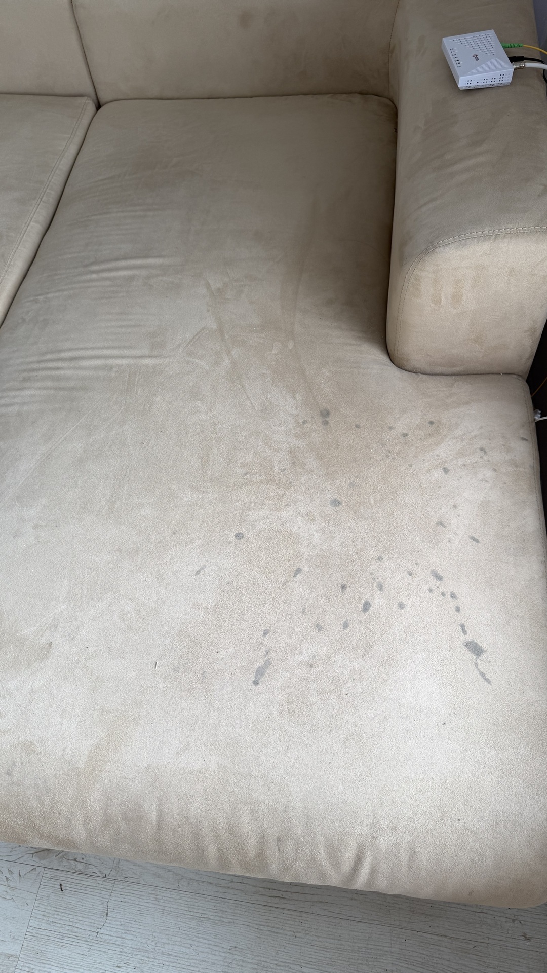 Before photo for Upholstery & Carpet Cleaning