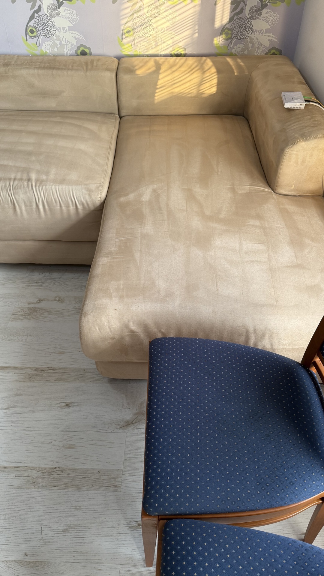 After photo for Upholstery & Carpet Cleaning