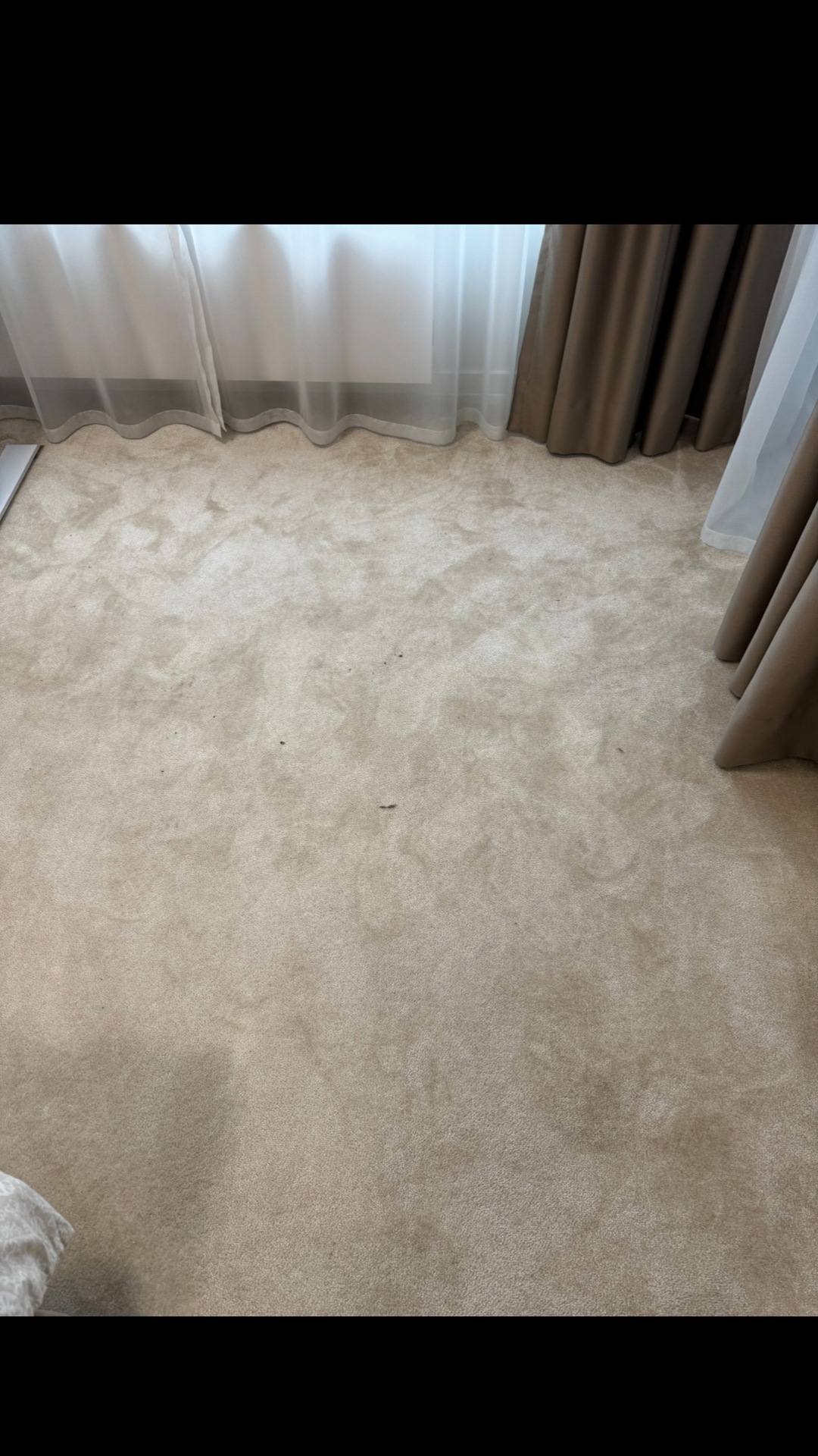 Before photo for  Limpieza de tapicería y alfombras