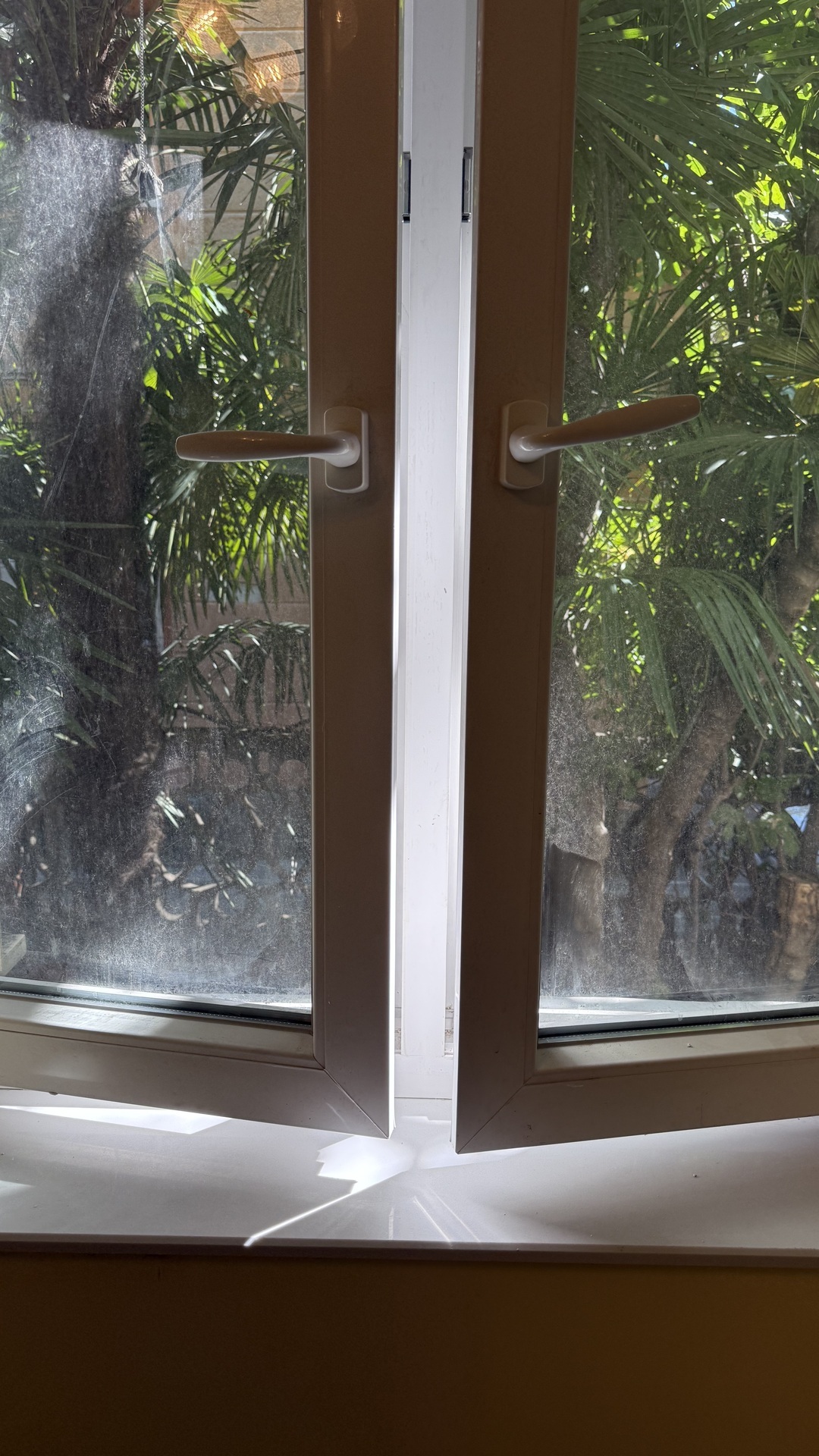 Before photo for Limpieza de ventanas