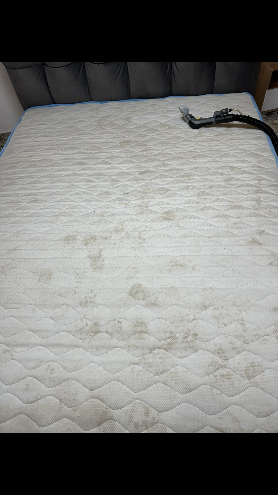 Before photo for Upholstery & Carpet Cleaning