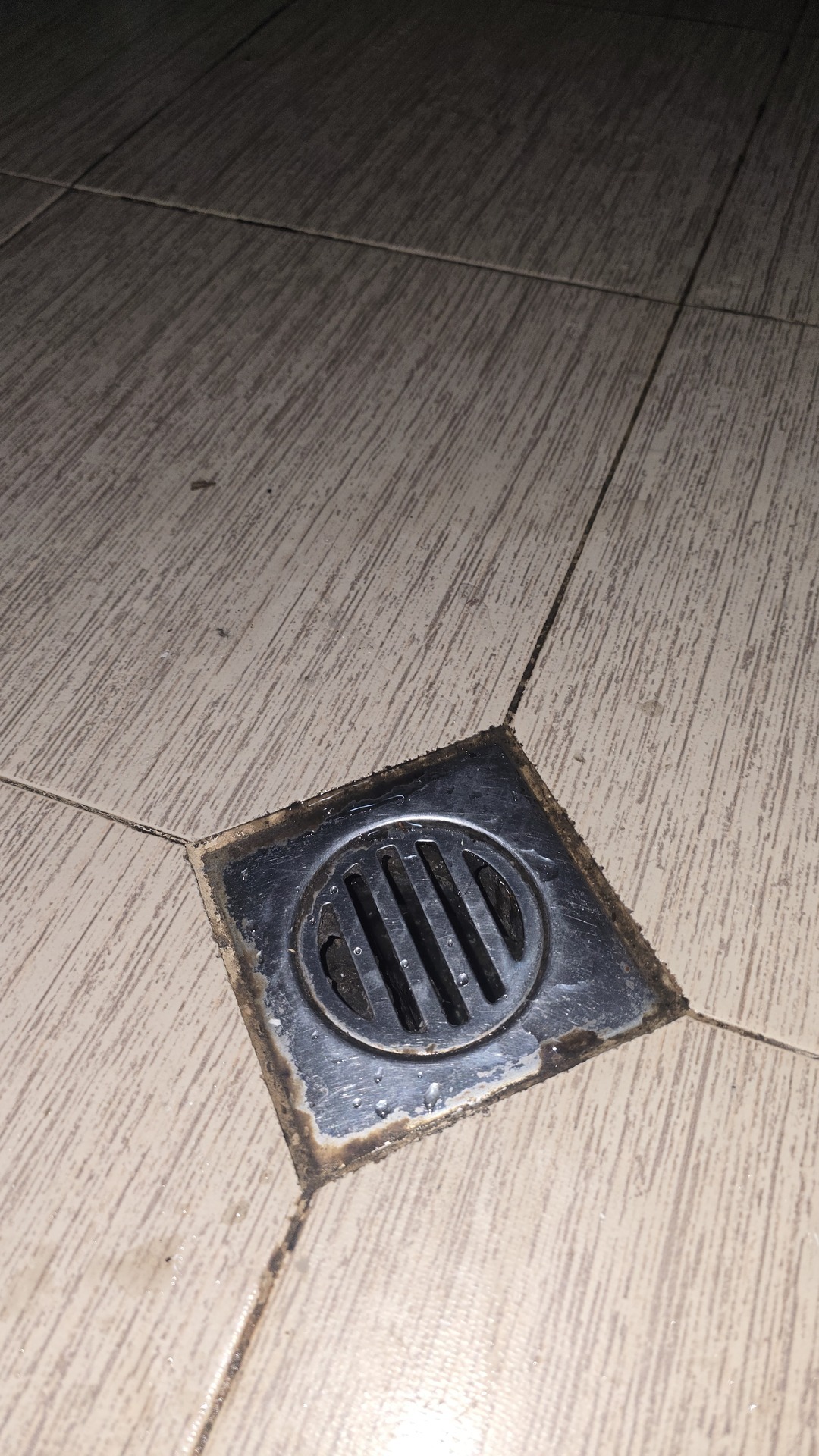 Before photo for Limpieza general