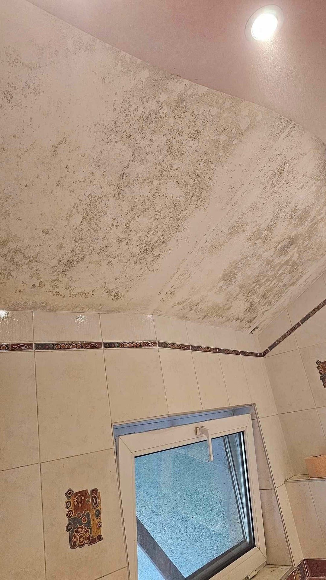 Before photo for Limpieza general