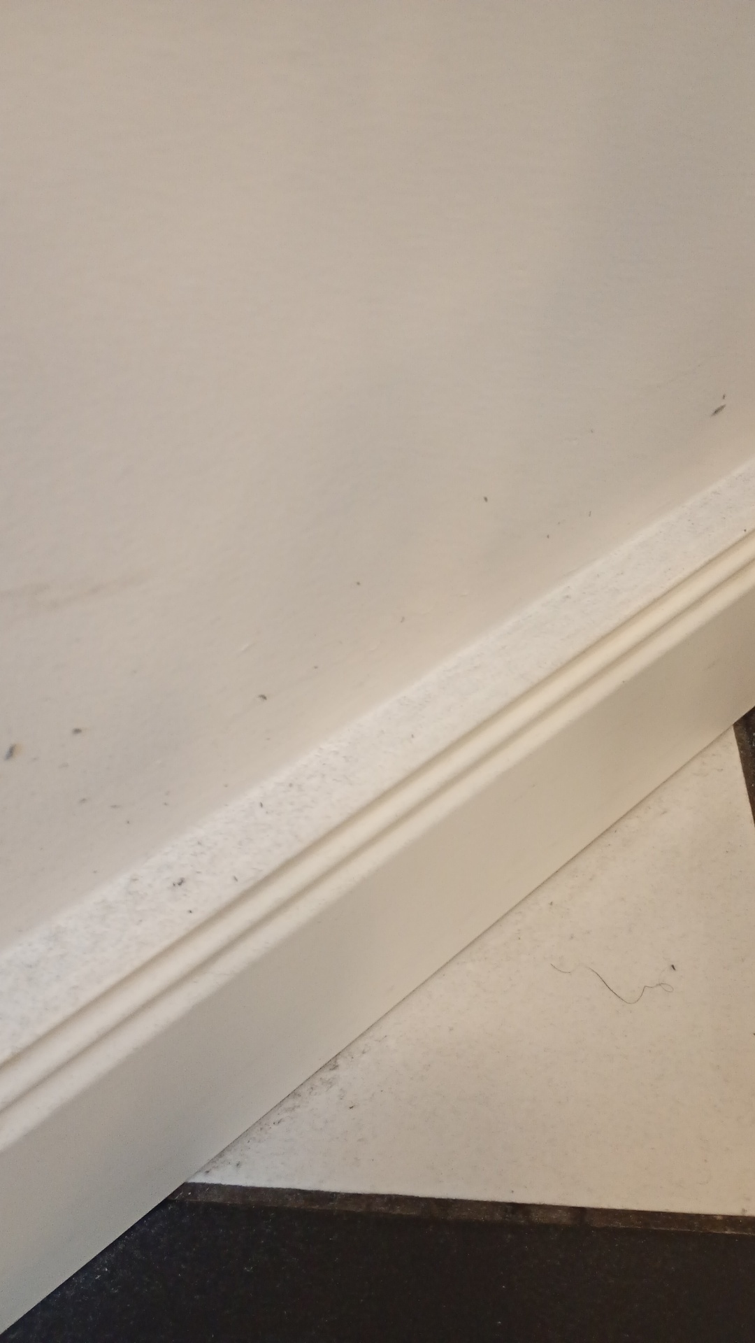 Before photo for Deep Cleaning