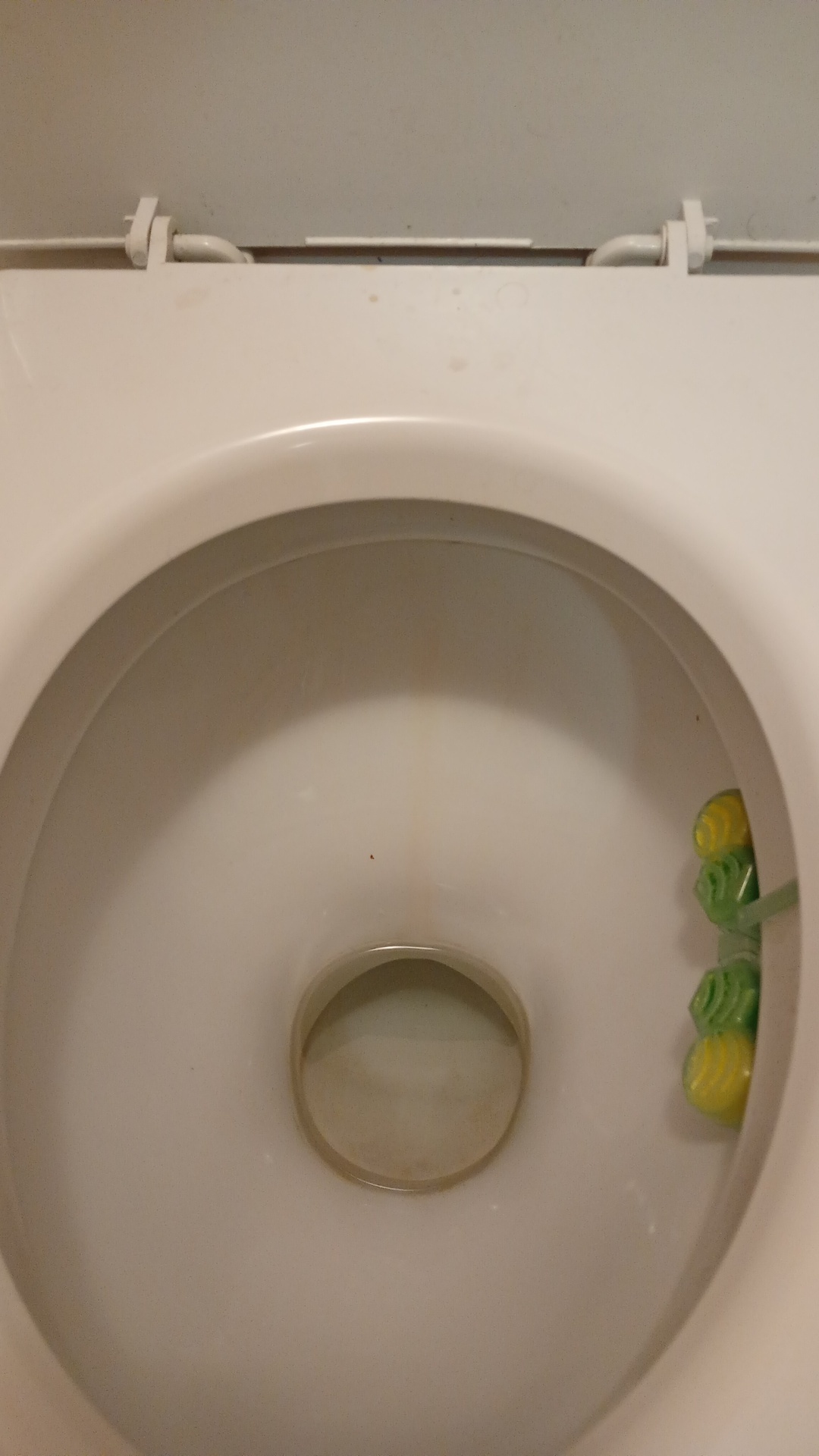 Before photo for Limpieza general