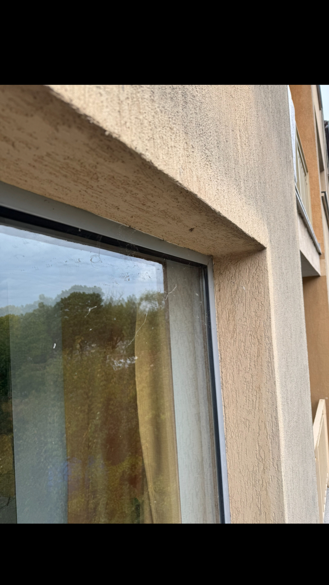 Before photo for Limpieza general