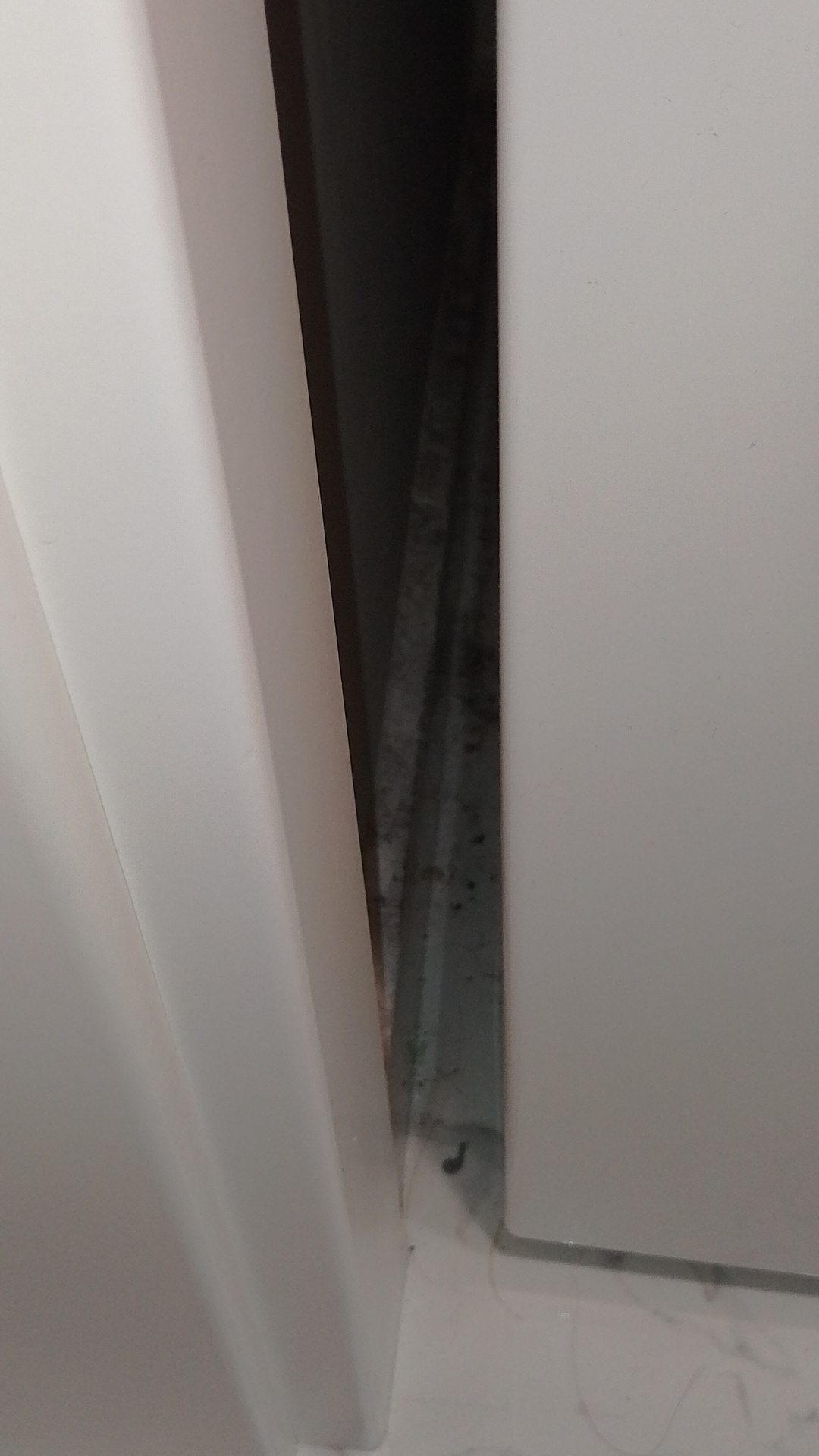 Before photo for Limpieza general