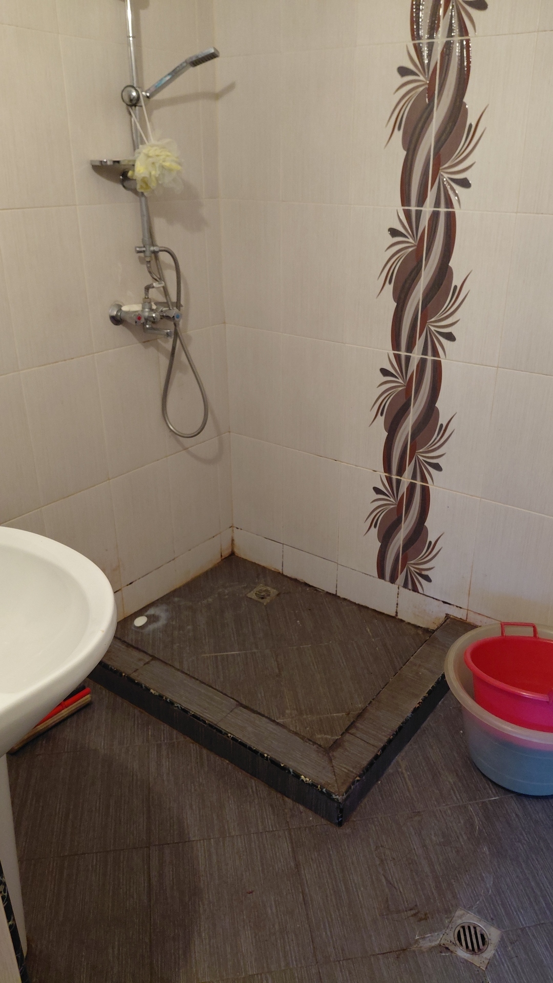 Before photo for Limpieza general