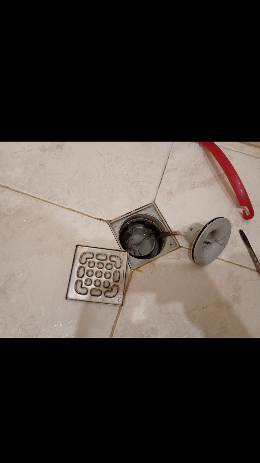 Before photo for Limpieza general