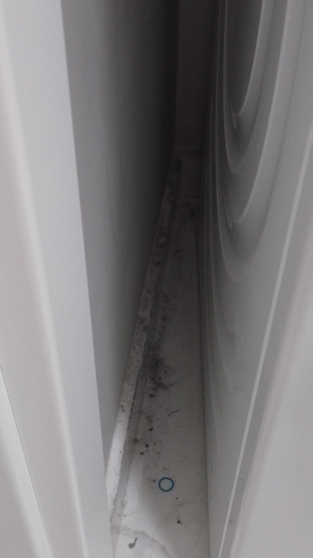 Before photo for Limpieza general