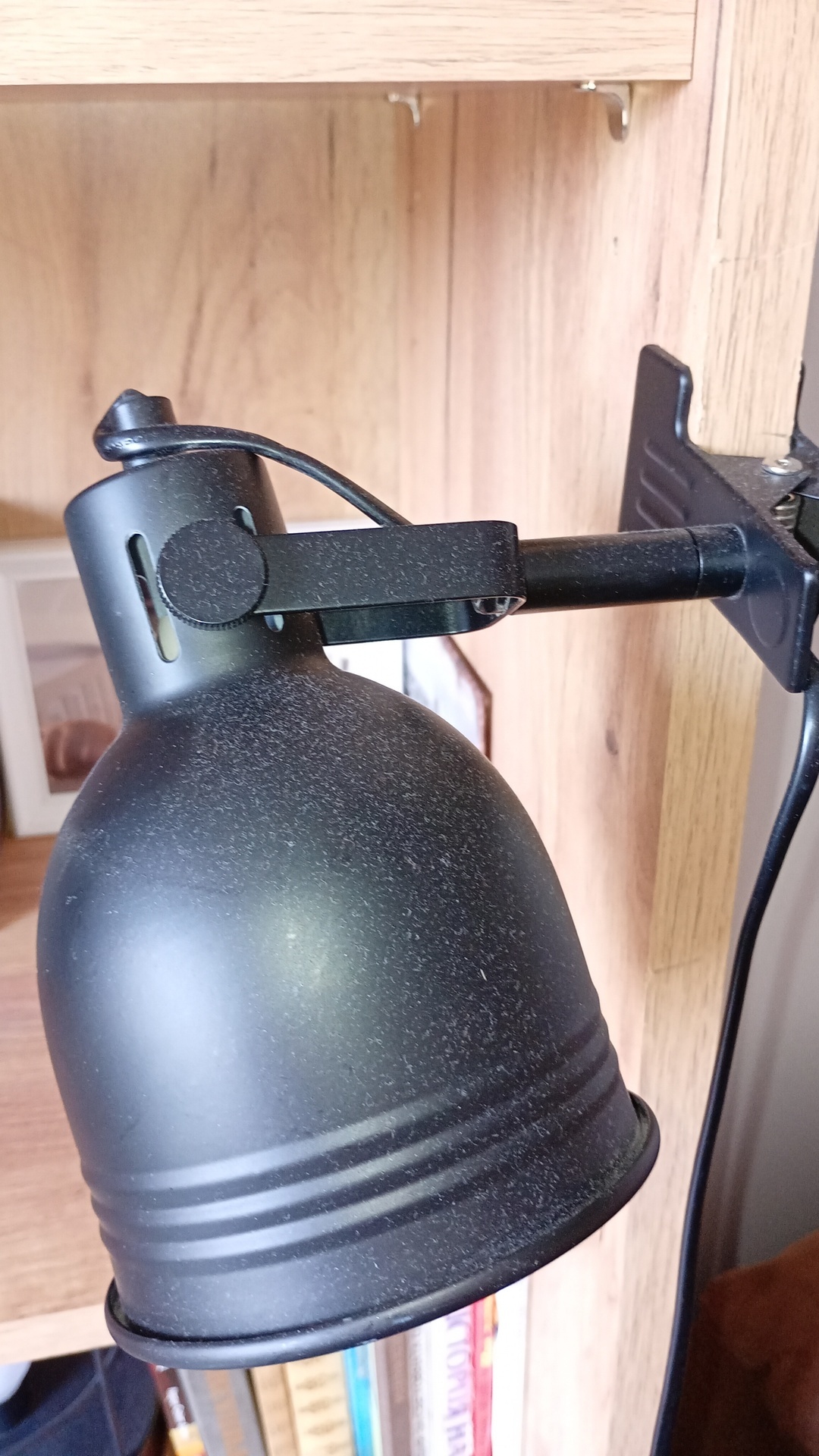 Before photo for Limpieza general