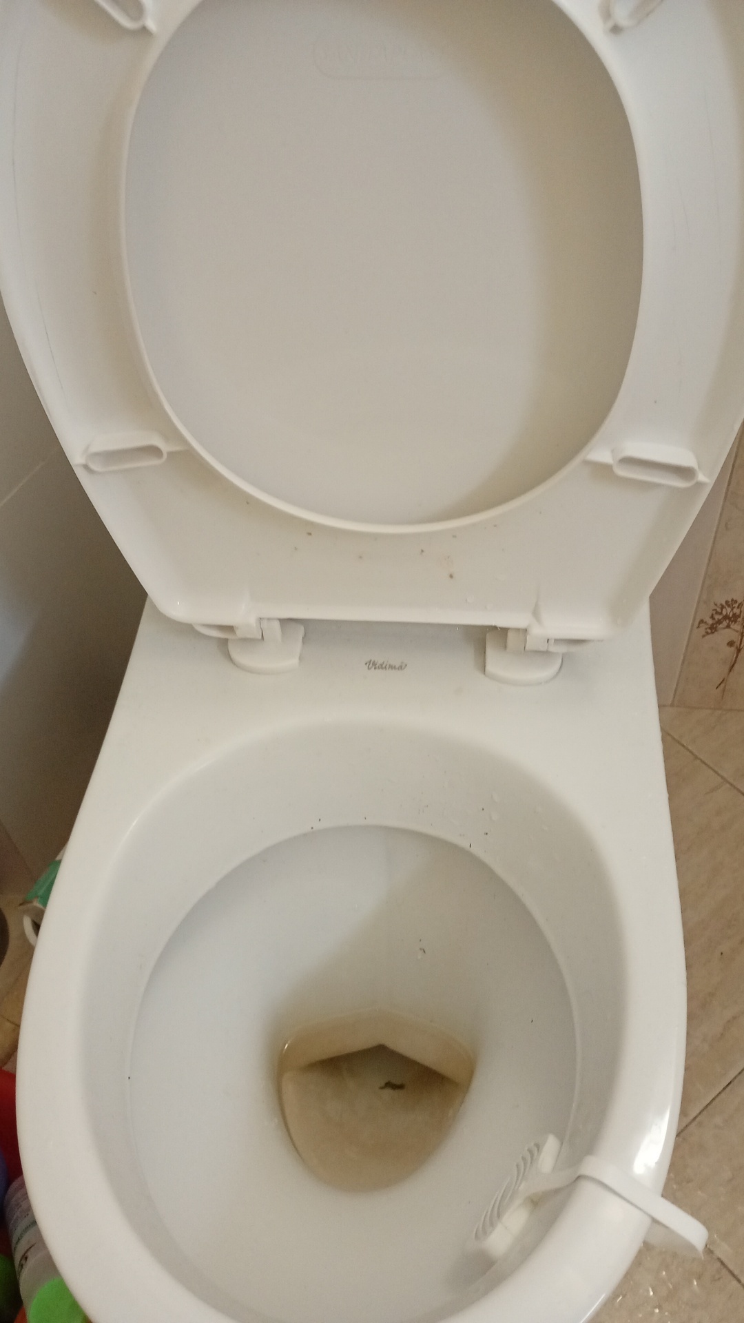 Before photo for Deep Cleaning