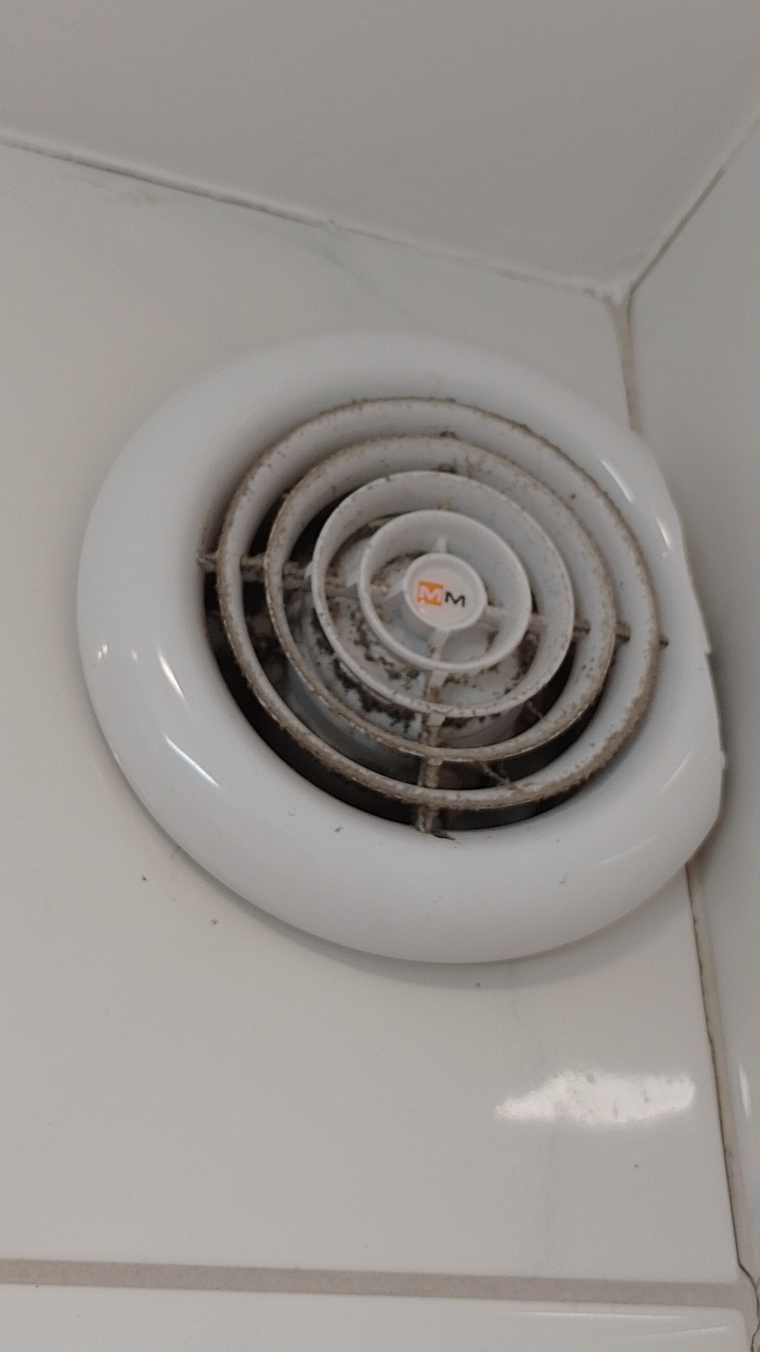 Before photo for Limpieza general