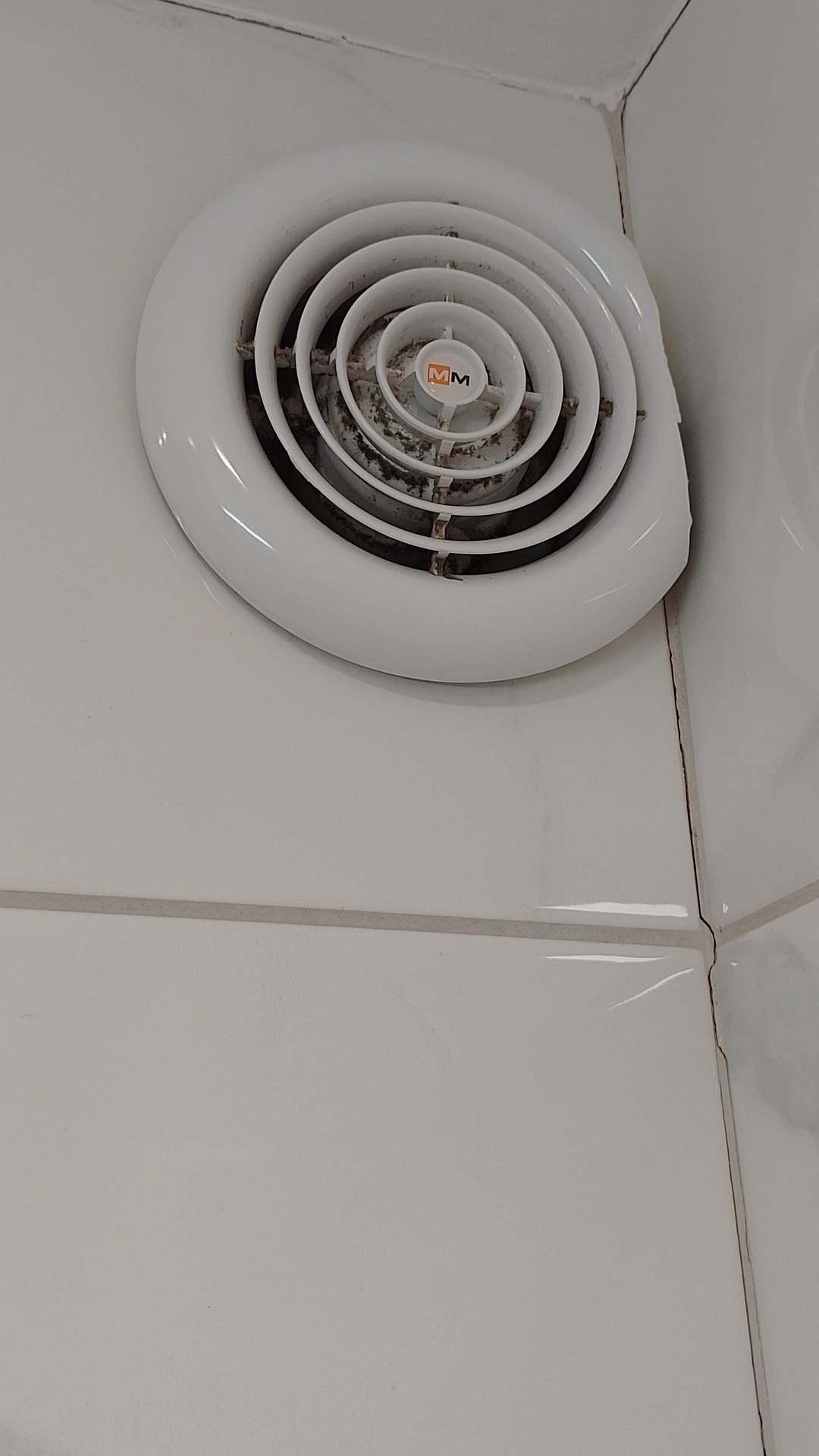 After photo for Limpieza general