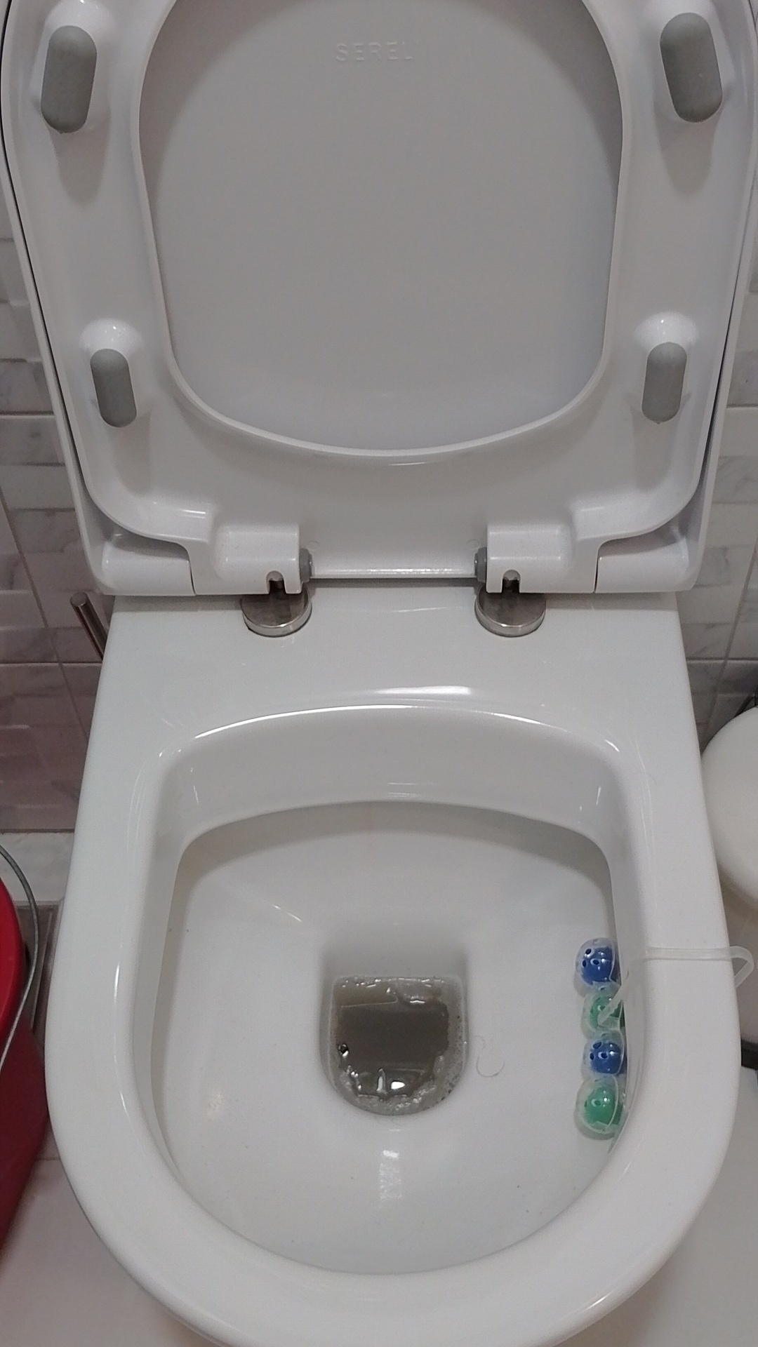 Before photo for Limpieza general