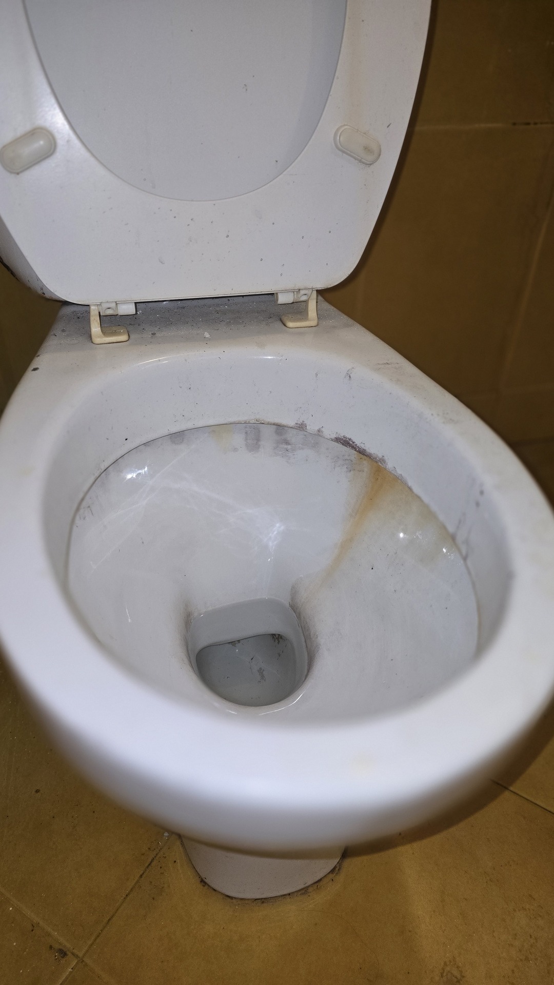 Before photo for Limpieza de baños