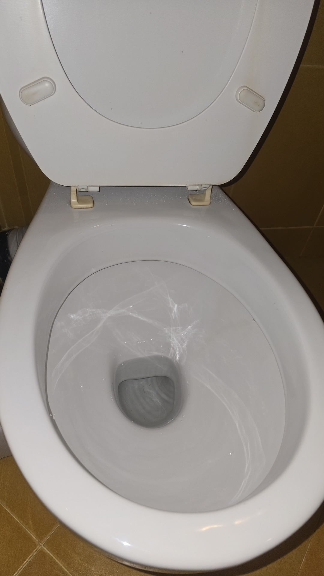 After photo for Limpieza de baños