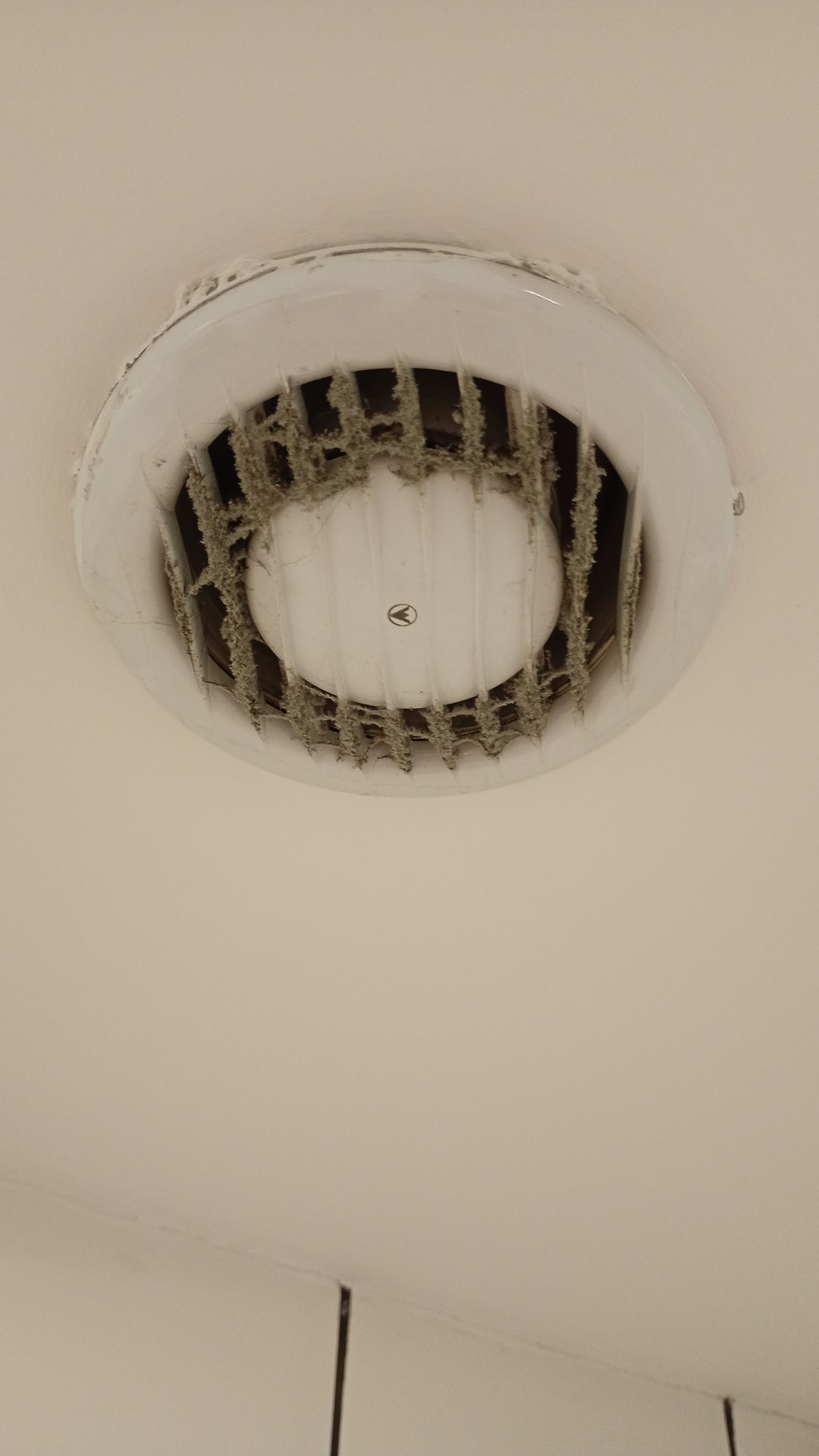 Before photo for Bathroom Cleaning