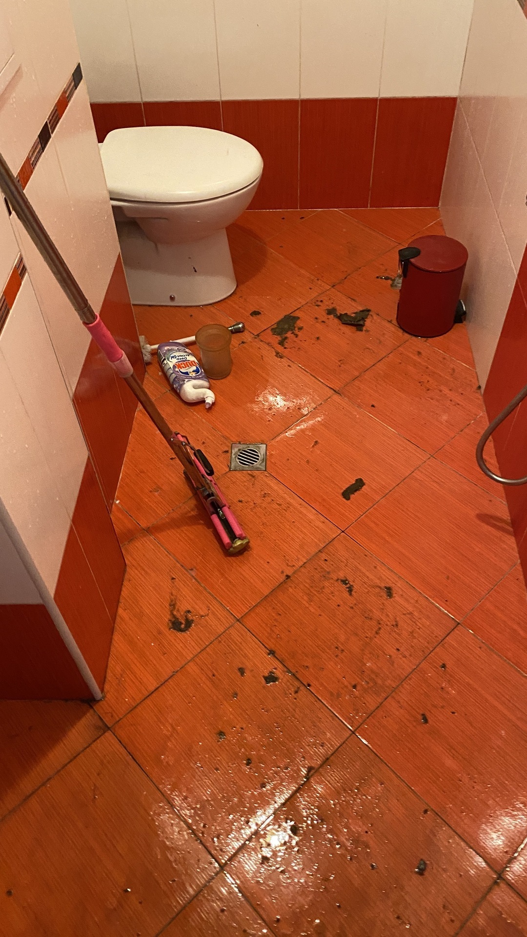 Before photo for Limpieza Fin de Alquiler