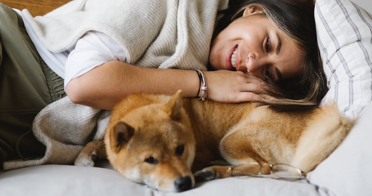 Cómo mantener limpia su casa cuando tiene mascotas