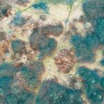 ¿Manchas negras en las paredes? Guía paso a paso para tratar y limpiar zonas con moho, controlando la humedad y saneando el ambiente.
