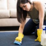 Limpia alfombras en casa como un profesional: técnicas seguras para eliminar manchas y polvo, evitar errores y prolongar su vida útil. Aprende cómo.