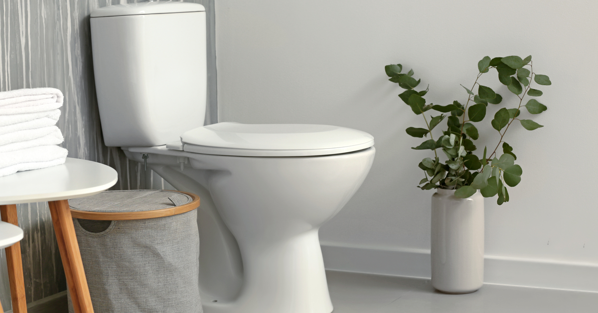 Higiene del baño: preparación para recibir visitas