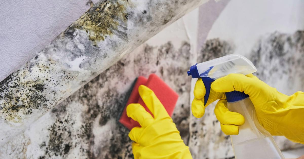 Barandillas, cerramientos y superficies verticales: atención a los detalles