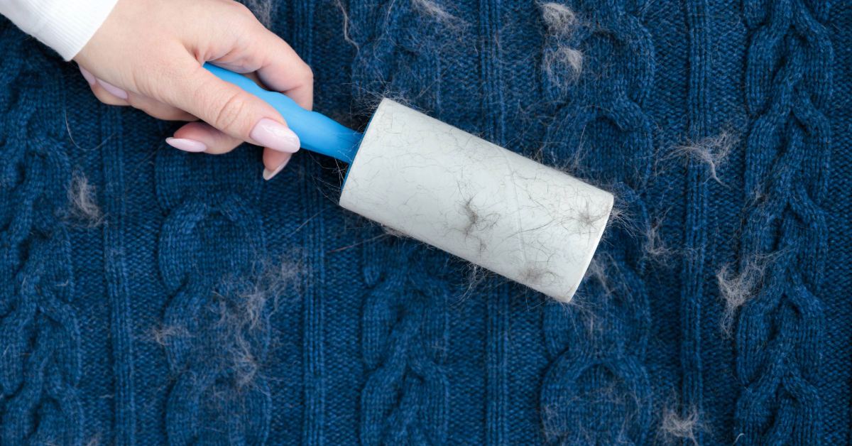 Ropa: cómo reducir el pelo antes, durante y después del lavado