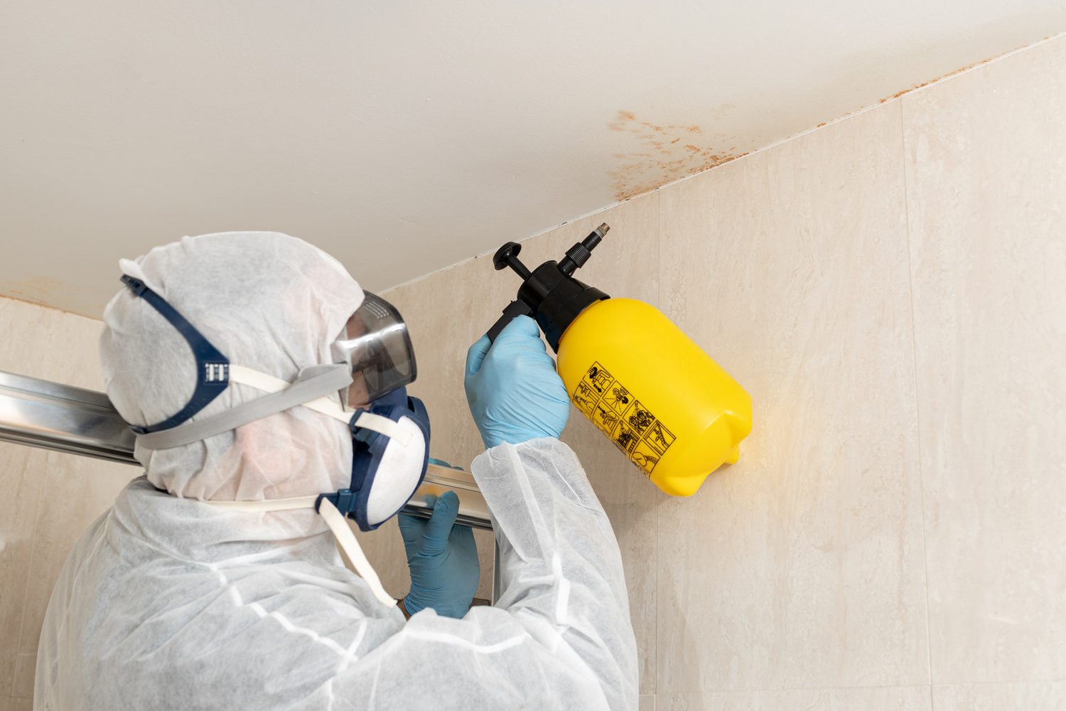 Profesional con traje y mascarilla de protección trata una zona con moho cerca del techo